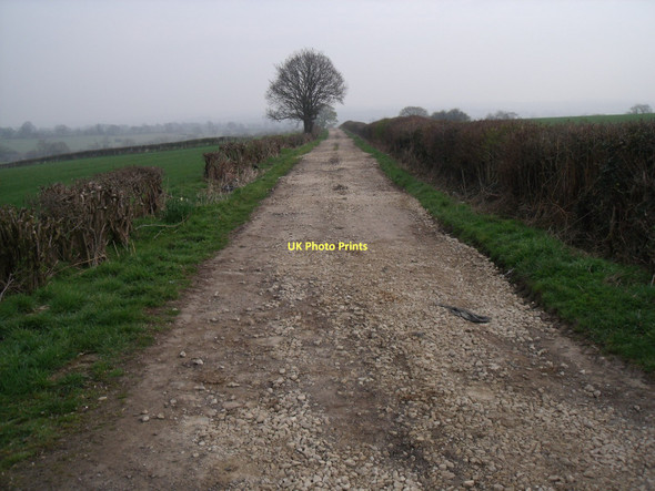 Photo 6"x4" Track to Meadow Farm Hallfield Gate c2011