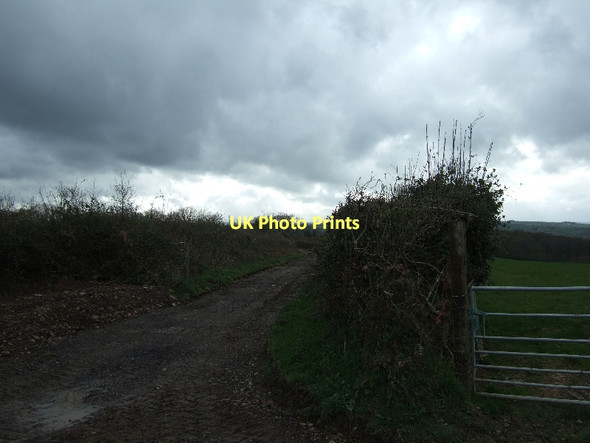 Photo 6"x4" Track to Blackalder Wood from Tomhead Cross Venny Tedburn c2011