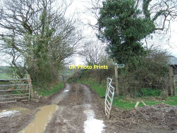 Photo 6"x4" Muddy paths and signposts Venny Tedburn c2011