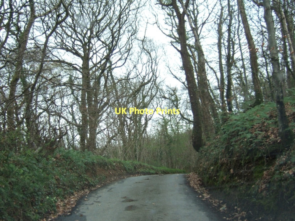 Photo 6"x4" Road in Great Copse Heath Cross\/SX8494 c2011