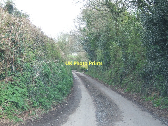 Photo 6"x4" Road to Nadderwater at Hackworthy Corner Halsfordwood c2011