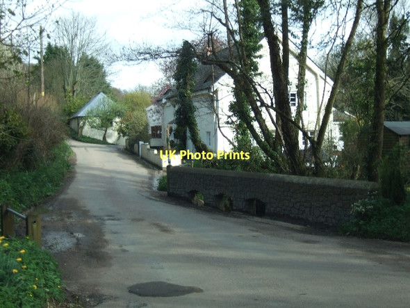 Photo 6"x4" The bridge at Nadder Bottom Halsfordwood c2011