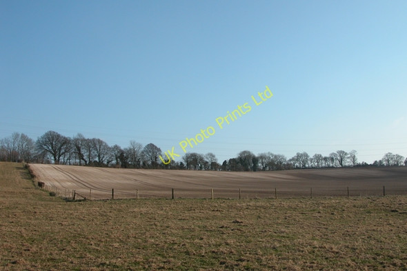 Photo 6"x4" Field on Gander Down. Cheriton\/SU5828 c2006