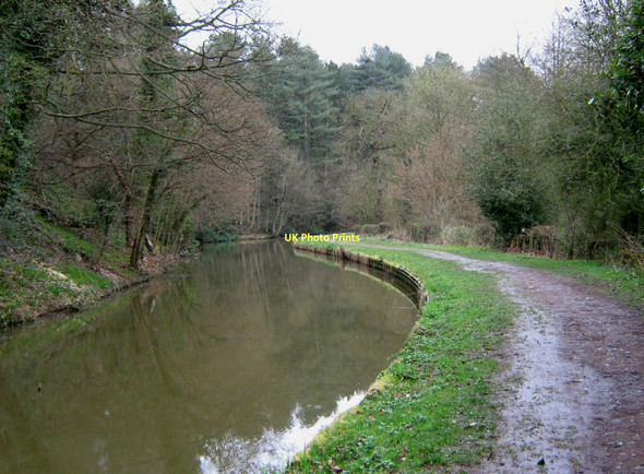 Photo 6"x4" Beside the woods Horse Bridge\/SJ9653 c2011