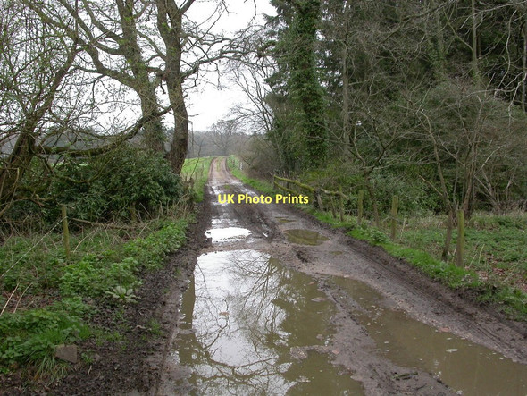 Photo 6"x4" Uddens, White Bridge Broom Hill\/SU0302 c2011