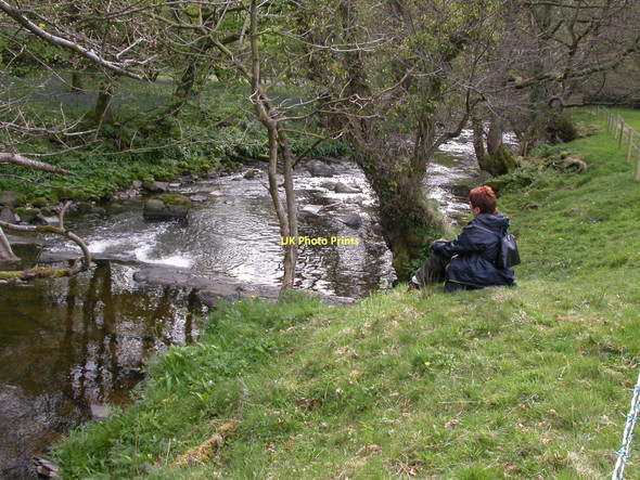 Photo 6"x4" Contemplation of the River Brock Brook Bottom\/SD5442 c2003