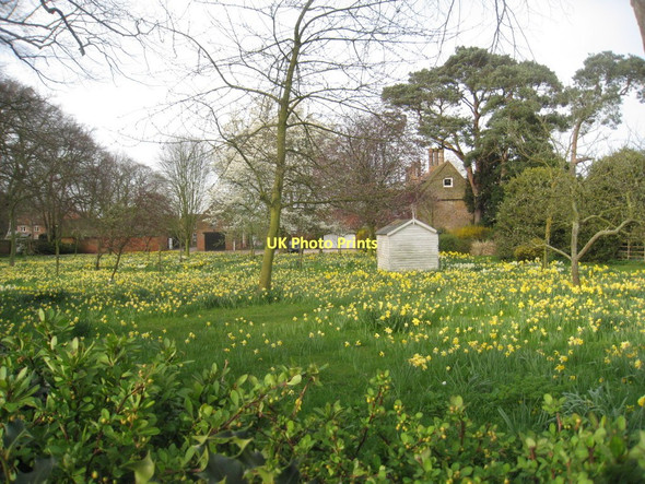 Photo 6"x4" Spring scene at Hawksworth Hawksworth\/SK7543 c2011