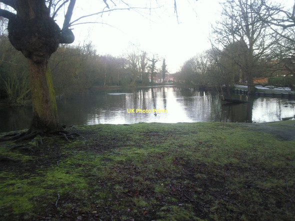Photo 6"x4" Rush Pond at first light Chislehurst c2011