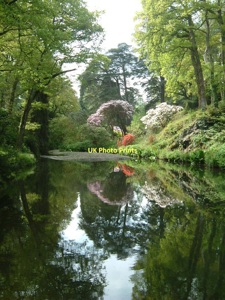 Photo 6"x4" Mill Pond at Bodnant Garden Tal-y-cafn c2004