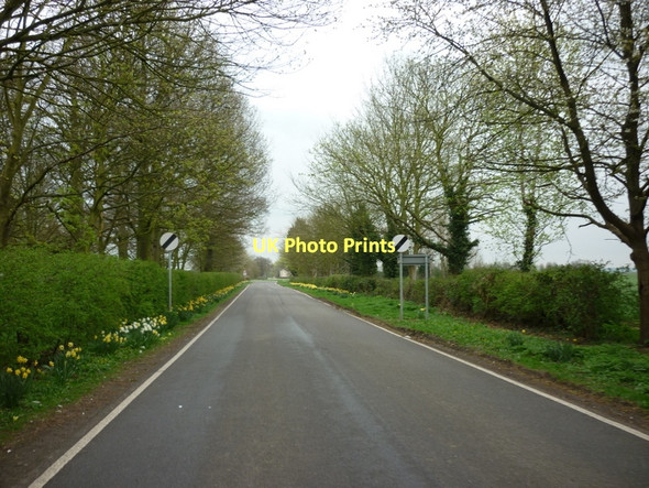 Photo 6"x4" Shady Side (road)  Eastoft Eastoft c2011