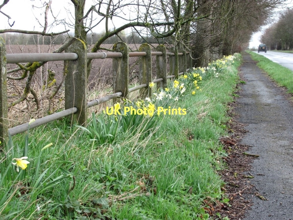 Photo 6"x4" Footpath, Cornhill Coldstream\/NT8439 c2011