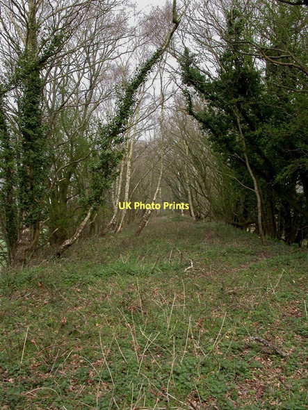 Photo 6"x4" North Kingston, railway trackbed North Kingston c2011