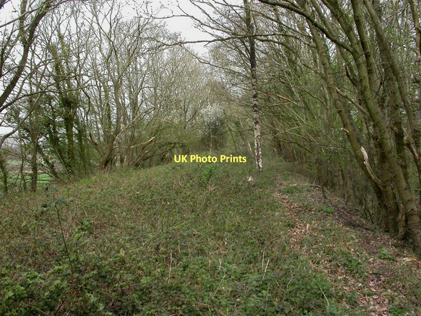 Photo 6"x4" North Kingston, dismantled railway North Kingston c2011