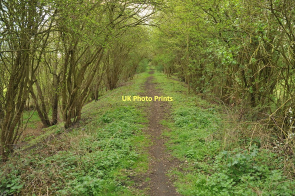 Photo 6"x4" Course of the former Bidford to Stratford railway Barton\/SP1051 c2011