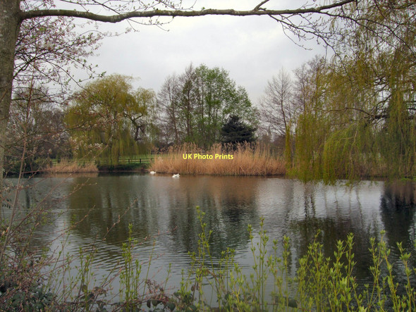 Photo 6"x4" Horsham Park Pond Horsham\/TQ1731 c2011