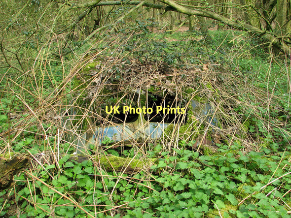 Photo 6"x4" Overgrown car in Billingford wood Upper Street\/TM1780 c2011