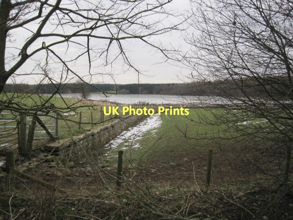 Photo 6"x4" Ha Ha near Capheaton Capheaton c2011