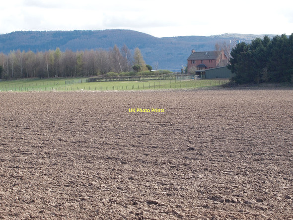 Photo 6"x4" Field north of Oudenard Bridge of Earn c2011