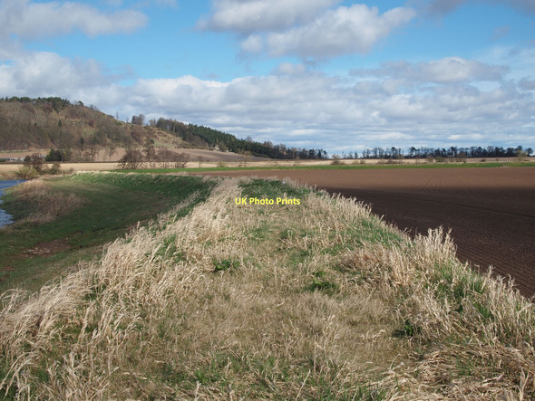 Photo 6"x4" Embankment beside the River Earn Bridge of Earn c2011