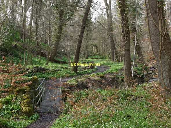 Photo 6"x4" Footbridge and path, Walbottle Dene Ryton\/NZ1564 c2011