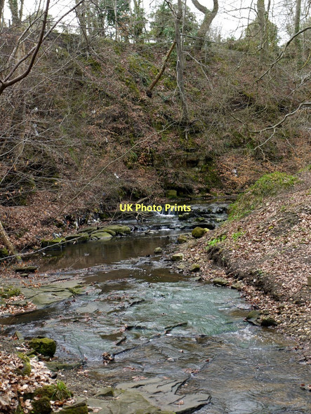 Photo 6"x4" Walbottle Dene Ryton\/NZ1564 c2011