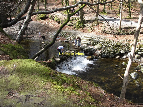 Photo 6"x4" Stepping stones on the Shimna below the Meeting of the Waters Castlewellan c2011