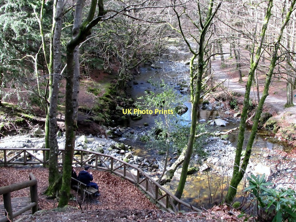 Photo 6"x4" The Meeting of the Waters, Tollymore Park Newcastle\/J3732 c2011