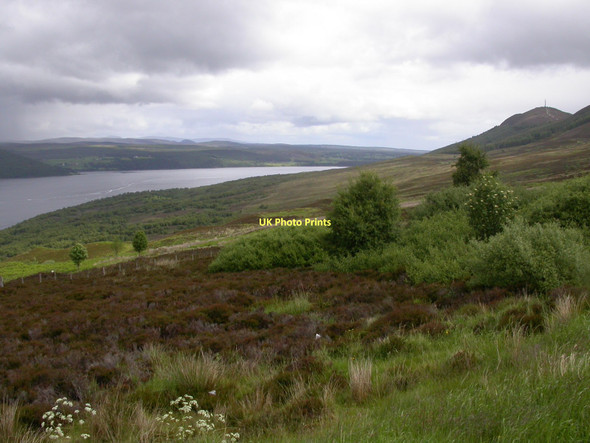 Photo 6"x4" Rough ground east of Struie Viewpoint Ardvannie c2004