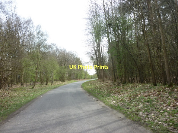 Photo 6"x4" East Ferry Road towards Laughton Laughton\/SK8497 c2011