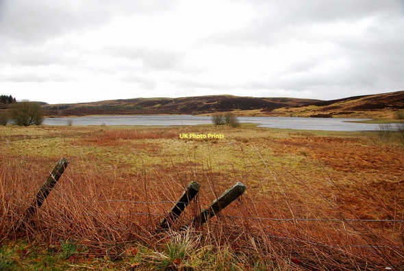 Photo 6"x4" Alemoor Reservoir Roberton\/NT4214 c2011