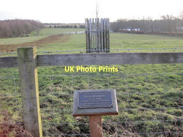 Photo 6"x4" Memorial Tree to Philip Gray, Capheaton Capheaton c2011