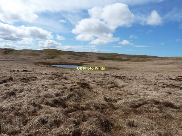 Photo 6"x4" Llyn y Fign from the east Llyn y Figyn c2011