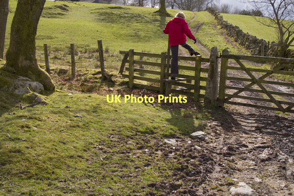 Photo 6"x4" Footpath to Whasdike Farm Windermere\/SD4198 c2011