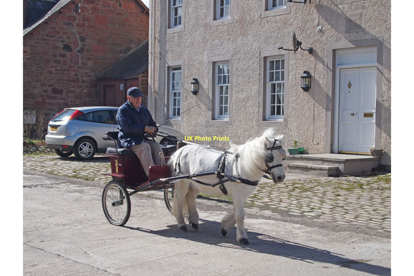 Photo 6"x4" Pony and trap in Old Edinburgh Road Bridge of Earn c2011