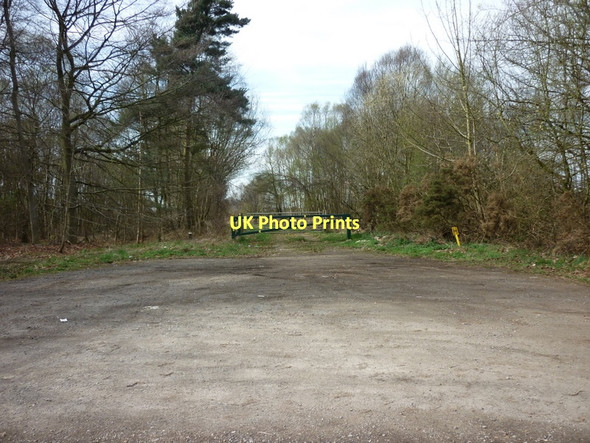 Photo 6"x4" A track heading west to Laughton Forest Laughton\/SK8497 c2011