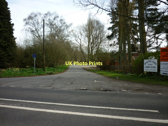 Photo 6"x4" A footpath heading east to Scotton Scotton\/SK8899 c2011