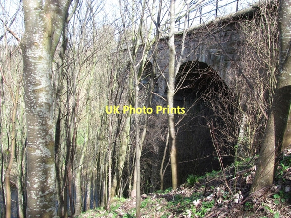 Photo 6"x4" Twizel viaduct Melkington c2011