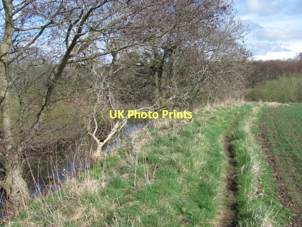 Photo 6"x4" Riverside path Melkington c2011