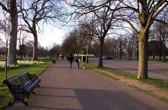 Photo 6"x4" Path by Blackheath Avenue Greenwich\/TQ3977 c2011