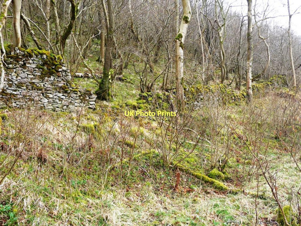 Photo 6"x4" Mossy stones and logs, Demesne Wood Smardale c2011
