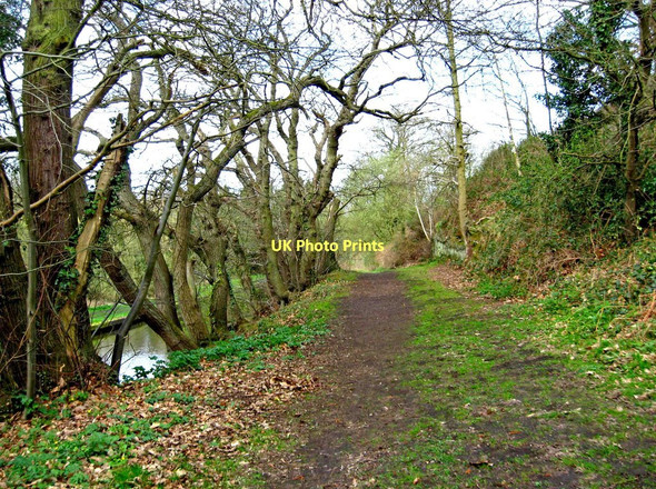 Photo 6"x4" Footpath adjacent to Staffs & Worcs Canal, near Cookley Wolverley\/SO8379 c2011