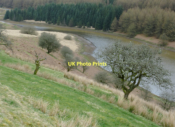 Photo 6"x4" Llyn Brianne in Cwm Tywi, Ceredigion Bryn Mawr\/SN7953 c2011