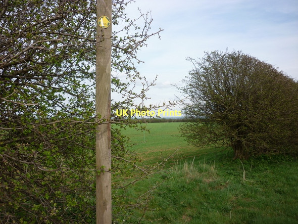 Photo 6"x4" A path from Mill Road to Hibaldstow Hibaldstow c2011