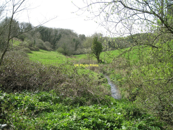 Photo 6"x4" Stream below Coombe Abbotsleigh c2011