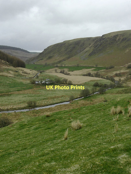 Photo 6"x4" Cwm Tywi near Dolgoch, Ceredigion Nant Cwm-du\/SN7955 c2011