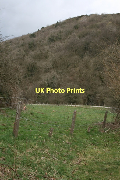 Photo 6"x4" Field near Weag's Bridge Grindon\/SK0854 c2011