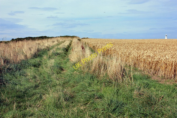 Photo 6"x4" Towards Head Farm North Landing c2009