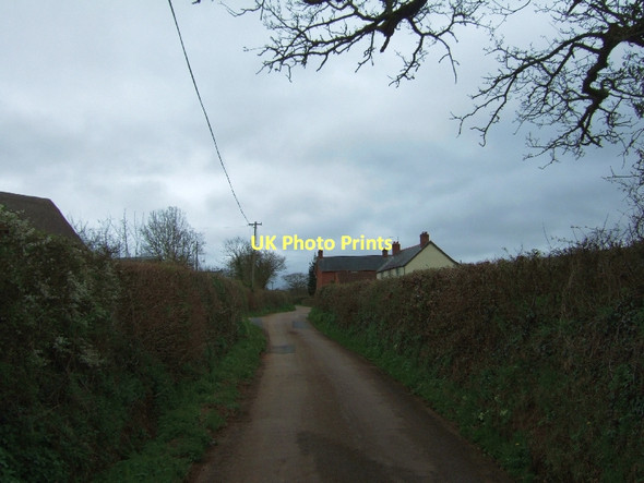 Photo 6"x4" Sanctuary Lane and Sanctuary Farm Nine Oaks c2011