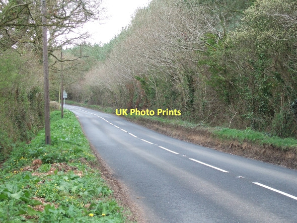 Photo 6"x4" B3180 passing Canterbury Green Plantation Hawkerland c2011
