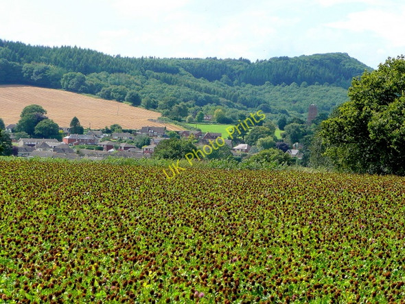 Photo 6"x4" View to Weston and The Penyard Bromsash c2009